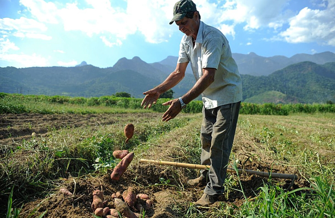 Causos Clínicos: chamada para experiências de cuidado em Saúde com os Povos do Campo, da Floresta e das Águas